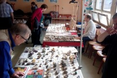 burza_mineralu_2015_07