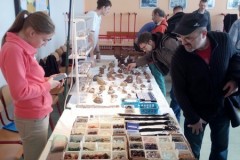 burza_mineralu_2015_08