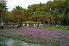 Malaga_ParqueSorpresas