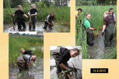 ekokrecci_2016_05