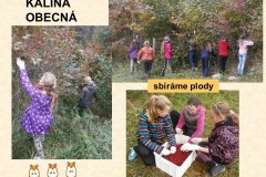 ekokrecci_2016_09