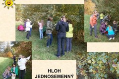 ekokrecci_2016_11