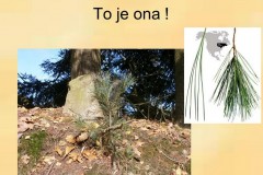ekokrecci_2016_14
