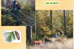 ekokrecci_2016_15
