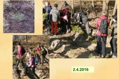 ekokrecci_2016_22