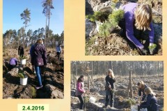 ekokrecci_2016_24