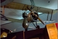 08_erasmus_To