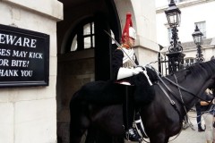 Day_6_London_4
