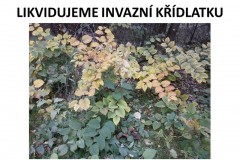 ekokrecci_2017_05