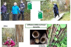 ekokrecci_2017_07