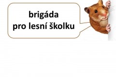ekokrecci_2017_17