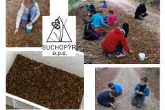 ekokrecci_2017_18