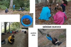 ekokrecci_2017_19