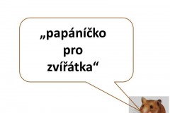 ekokrecci_2017_20