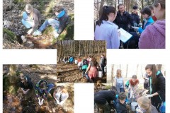 ekokrecci_2017_25