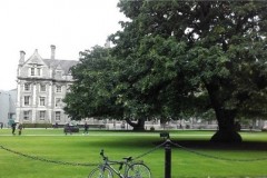 erasmus_Dublin_2017_07