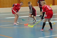 florbal_kraj_NG_2017_04