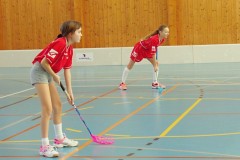 florbal_kraj_NG_2017_05