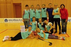 florbal_OK_2017_01