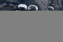 svetchemie_2018_11