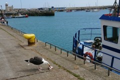 Dublin_2019_01
