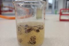 chemie-se-nebojime_2021_11