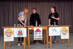 vystoupeni