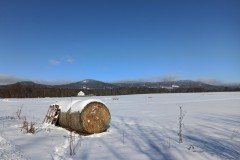 cechova-b