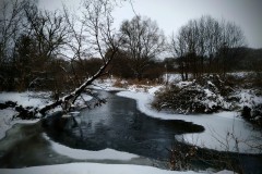 sichrovsky
