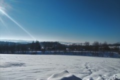 spindlen
