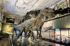 18_Dinosaurus