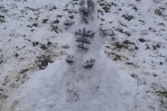 1B-na-snehu_2023_01