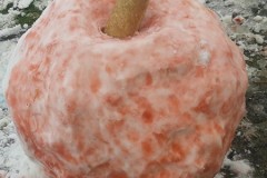 1B-na-snehu_2023_06