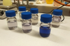 Polish_20240928_100006156