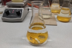 Polish_20240928_100124685