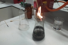 Polish_20240928_100232364