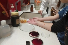 Polish_20240928_100355530