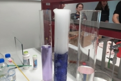 Polish_20240928_100435916