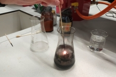 Polish_20240928_100536473