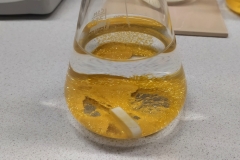 Polish_20240928_100637625