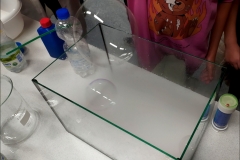 Polish_20240928_100834795