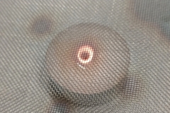 Polish_20240928_100940279