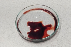 Polish_20240928_101013644