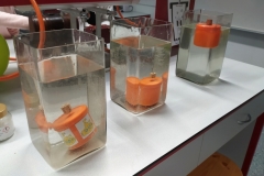 Polish_20240928_101121743