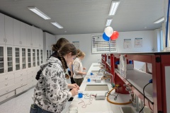 PXL_20241115_091146712.MP_