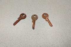 PXL_20241115_104915861