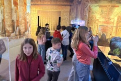 Image-42