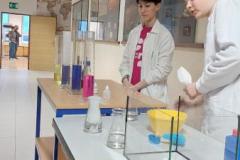 shared-image-90