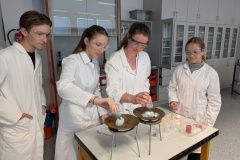 PXL_20250515_093519623.MP_