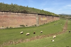 Image-2025-06-03T104012.188